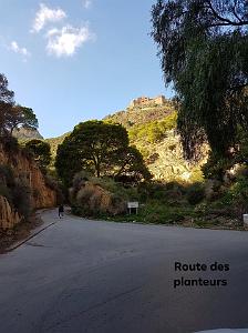 ORAN ROUTE DES PLANTEURS